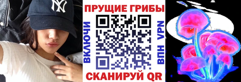 Галлюциногенные грибы Cubensis  KRAKEN маркетплейс  Кадников 